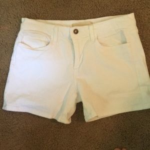 Joe’s Jeans white jean shorts